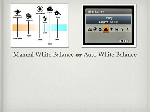 How to White Balance.024.jpg